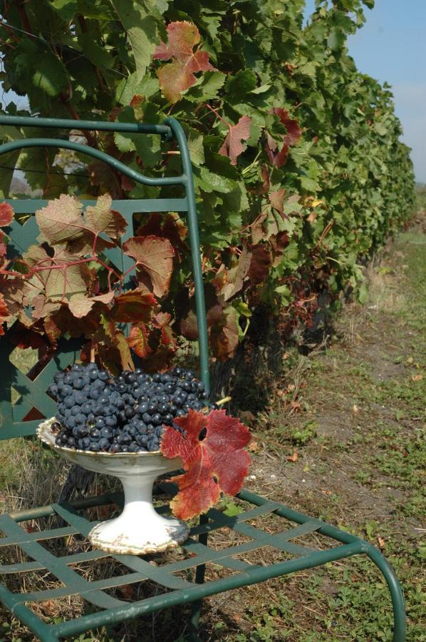 Domaine De La Queyssie Saussignac Exterior foto