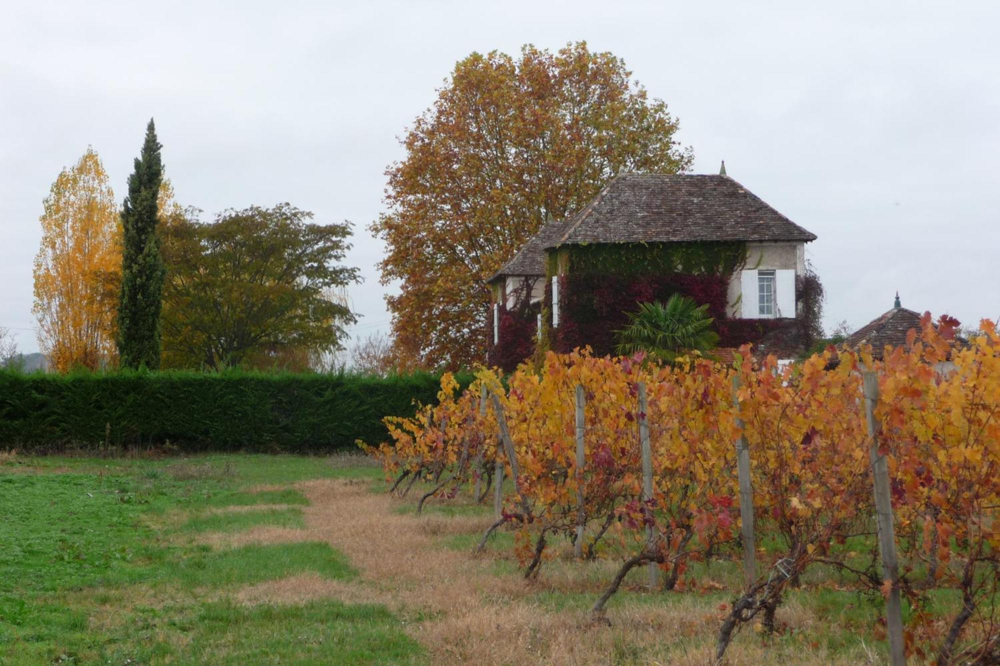 Domaine De La Queyssie Saussignac Exterior foto